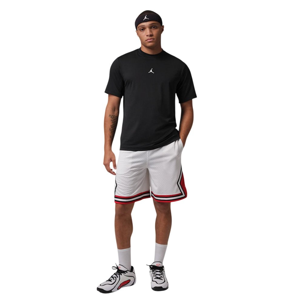 Баскетбольная мужская футболка Jordan Sport Essentials