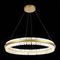 Подвесной светодиодный светильник ST Luce Cherio SL383.223.01