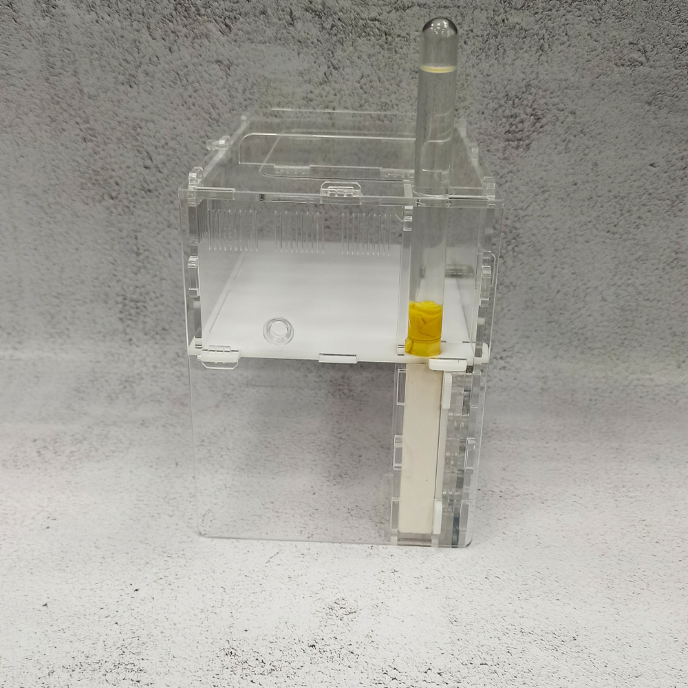 Муравьиная ферма Ковчег