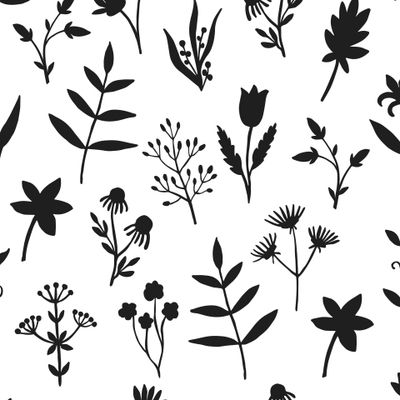 Бесшовный рисунок диких лекарственных трав и растений. Silhouettes of plants in ink.