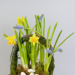 Композиция с первоцветами Лесная корзина S