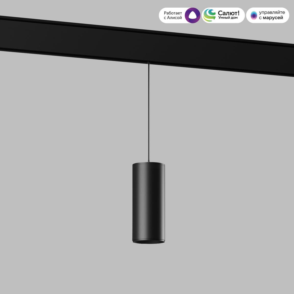 Подвесной трековый светодиодный светильник Elektrostandard Slim Magnetic Dim Amend 85073/01 черный a063534