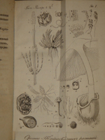 "Основание ботаники и физиологии растений. В 2-х частях". Сочинение А.Ришара. 1837г.