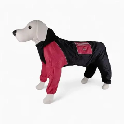 Дождевик «Dezzie Star»