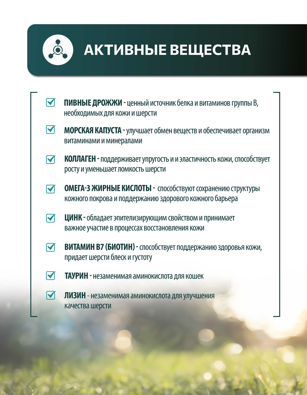 Vita+ мультивитаминное лакомство для кошек Здоровая кожа и красивая шерсть, 90 таблеток