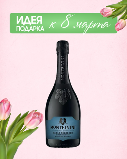 Просекко Montelvini Asolo Prosecco Superiore DOCG Extra Brut 0,75 л.