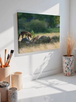 Картина на стену 40 X 50 Лисы