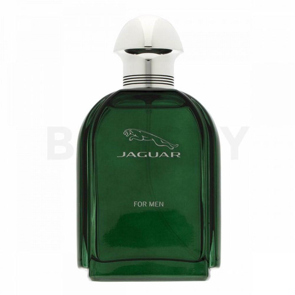 Jaguar Jaguar for Men EDT M 100 ml
