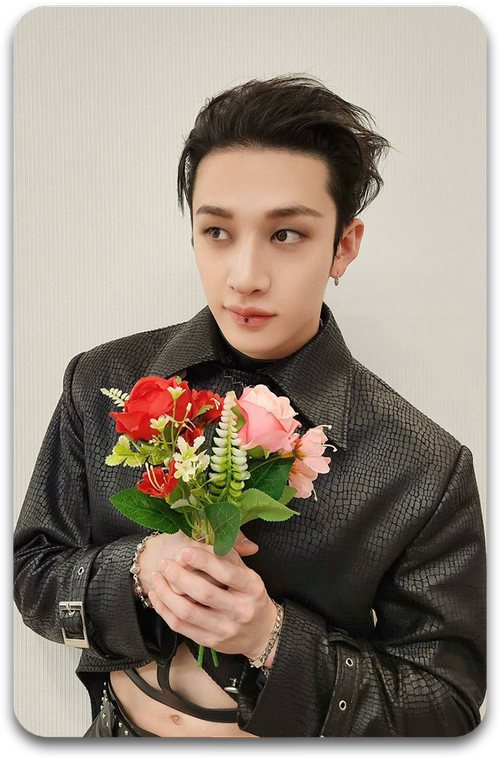 Карта / STRAY KIDS #2644