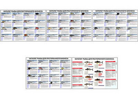 Плакаты ПРОФТЕХ "Каталог рыб для ресторанного бизнеса" (5 пл, винил, 70х100)