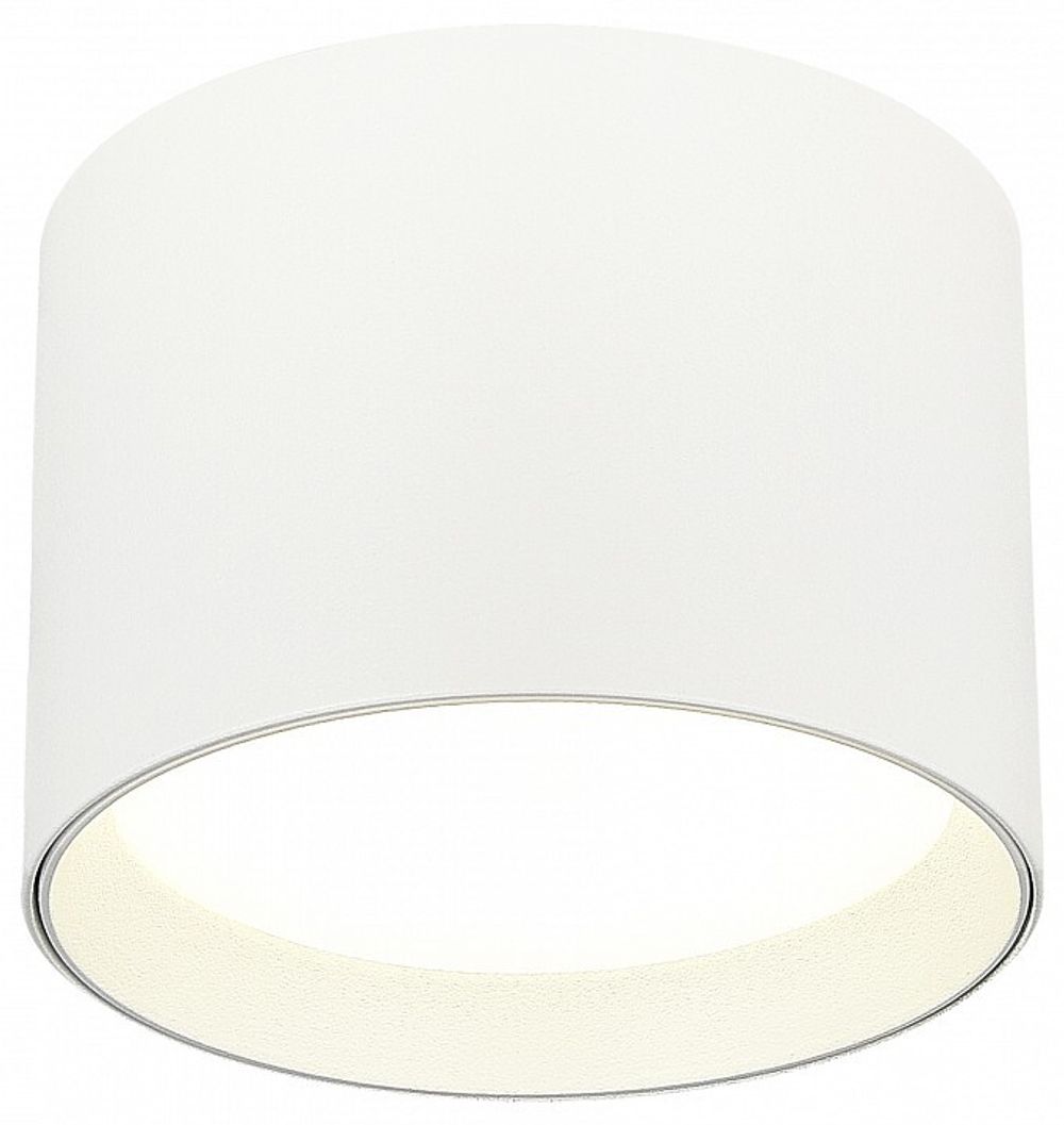 Накладной светильник ST-Luce ST163 ST163.502.01