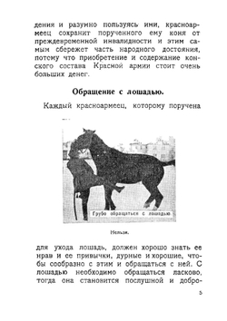 Боевой товарищ. Лошадь и уход за ней | В. Иакобсен