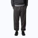 Штаны The North Face Expedition Celebration Relaxed Jogger Reg серые