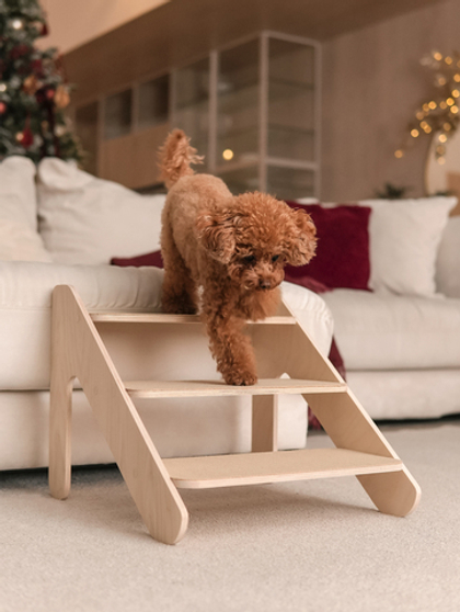 Лестница для животных Lift 36 см