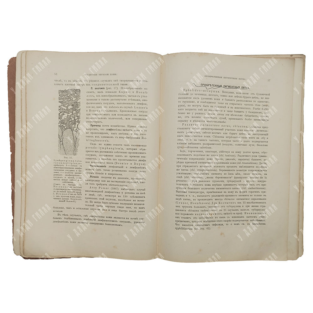 Поспелов А. И. Краткий учебник кожных болезней, 1912.