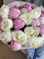 Авторский букет из розовых и белых пионов 17 шт