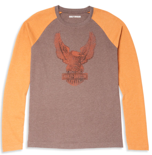 Футболка с длинным рукавом Raglan Sleeve Harley-Davidson
