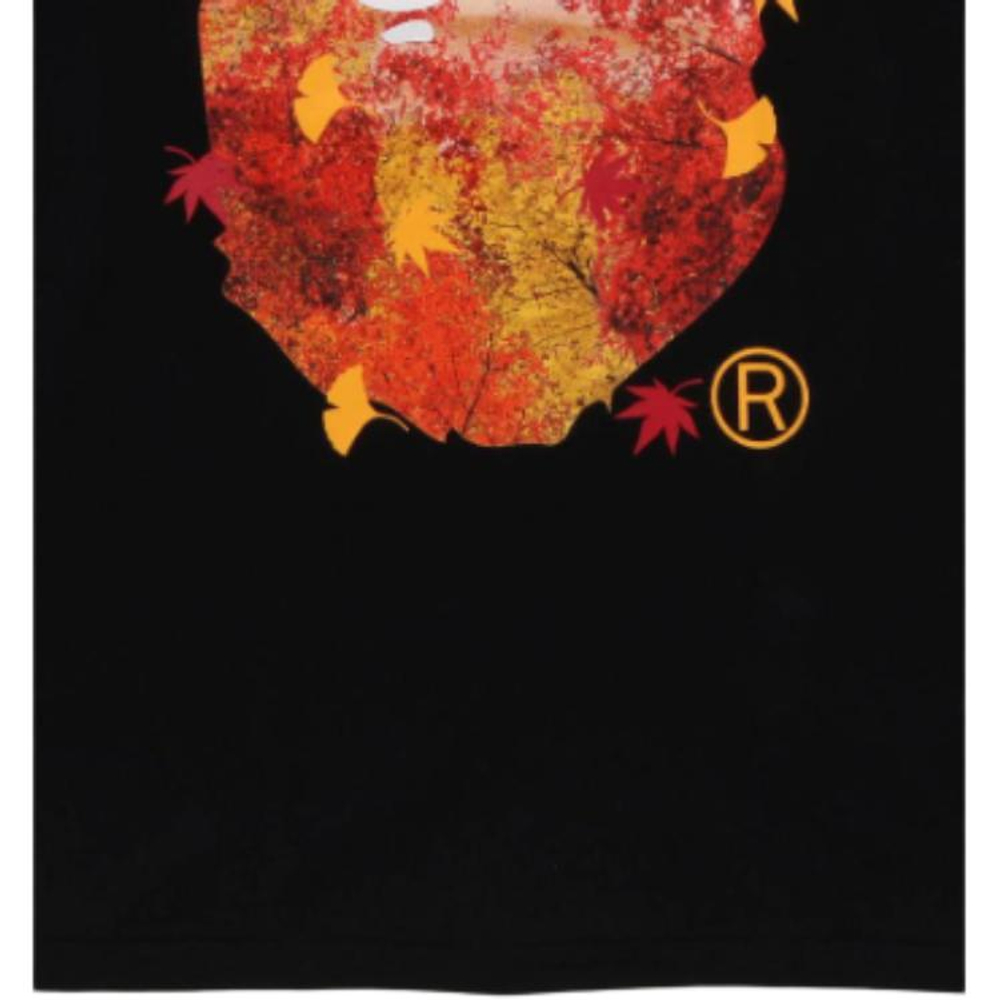 A Bathing Ape Japan Autumn Photo Ape Head Tee
