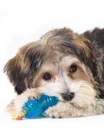 Petstages набор из двух игрушек для собак мелких пород "ОРКА косточка + гантеля" 7 см ультра-мини