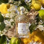 Guerlain Aqua Allegoria Bergamote Calabria EDT