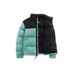 Куртки THE NORTH FACE 1996 Retro Nuptse SS22 Logo 700, NF0A3C8D-6R7