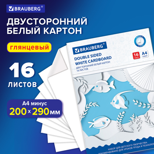 Картон белый А4 МЕЛОВАННЫЙ EXTRA (белый оборот), 16 листов, в папке, BRAUBERG, 200х290 мм, 113561