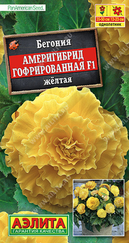 Бегония Америгибрид гофрированная F1 желтая 5шт Аэлита