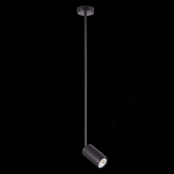 Светильник на штанге ST-Luce SL1206.403.01
