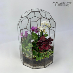 Композиция "Элавена"