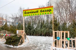 Рекламный баннер "Елочный базар"