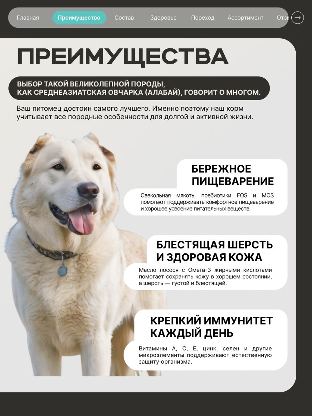 Корм сухой для собак породы Среднеазиатская овчарка (Алабай), с кроликом, 3 кг, QUATTRO