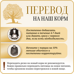 ESSENTIAL FOODS BALANCE