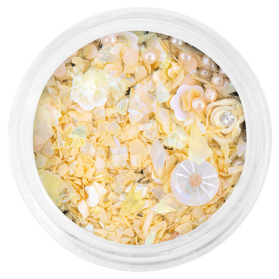 Декор Ракушка для акварельного дизайна Ассоль 03