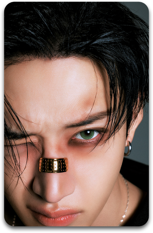 Карта / STRAY KIDS #4188