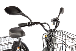 Трицикл GREEN CITY e-ALFA Trike