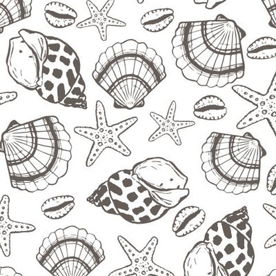 Морские ракушки 4
