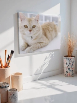 Картина на стену 40 X 50 Кошка