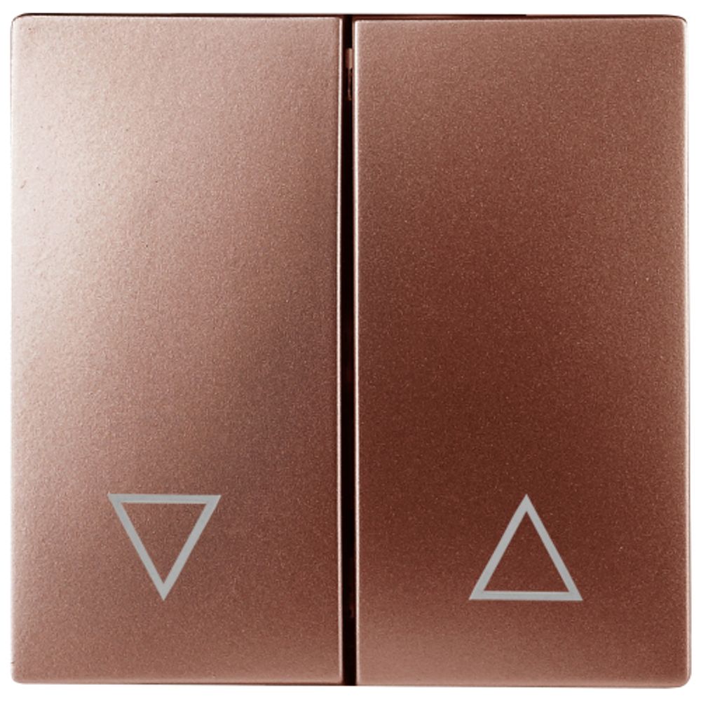 12-6203-14 ЭРА Клавиши для 12-1109, 12-1110, 14-1109, 14-1110, медь | Эра 12 Клавиши