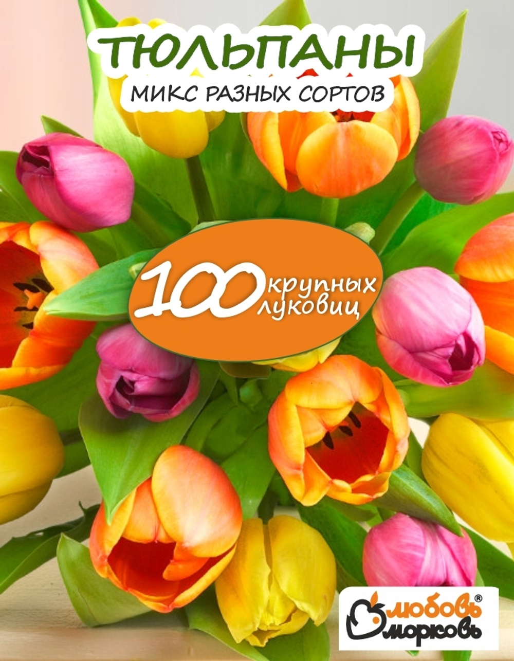 Тюльпан Луковица, Микс сортов 100 шт, крупные