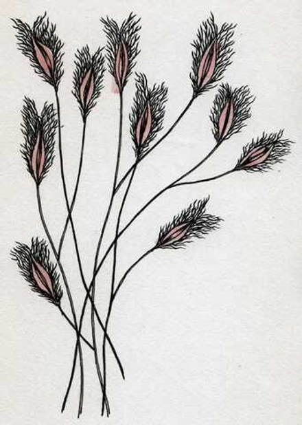 Грекофф Эли (1914–1985) - эротическое искусство русского художника Elie Grekoff