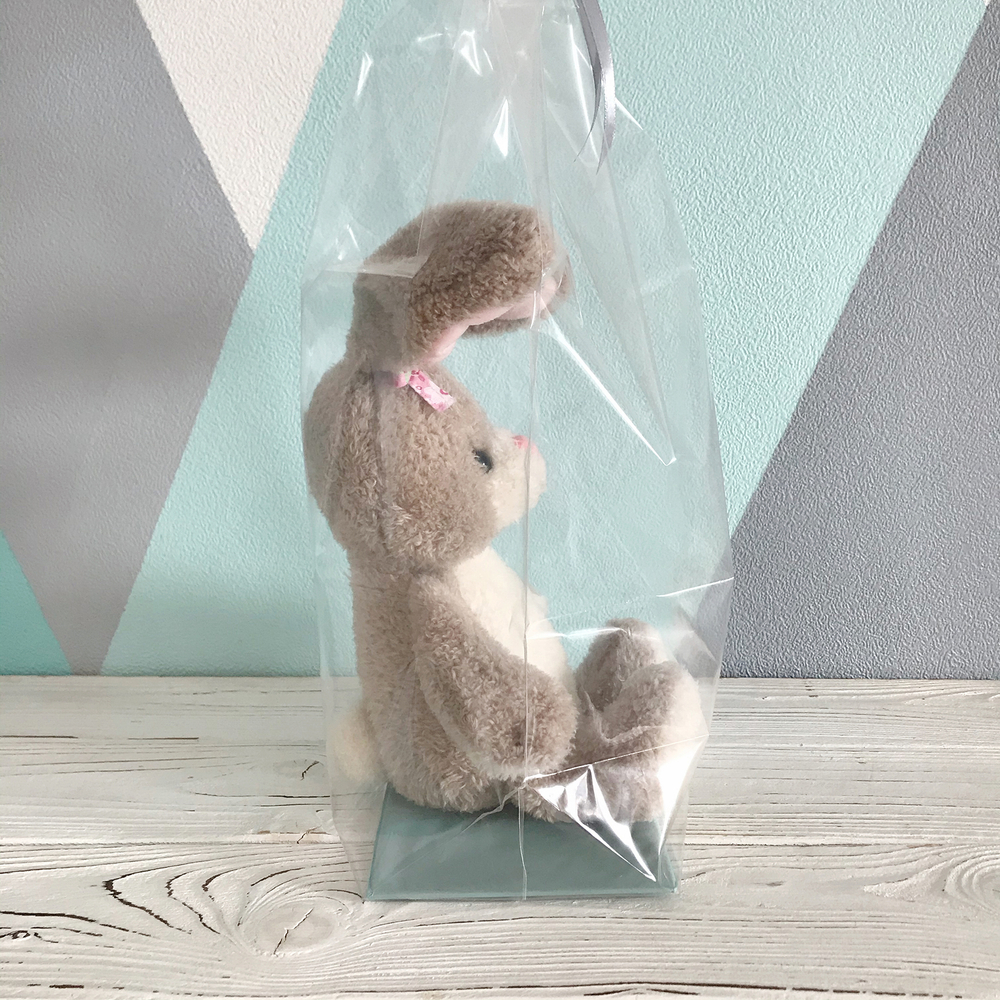 Прозрачный пакет с жестким дном, 11х17х60 см