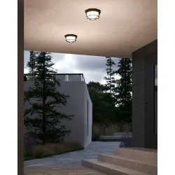 Уличный потолочный светильник Arte Lamp PEGASUS