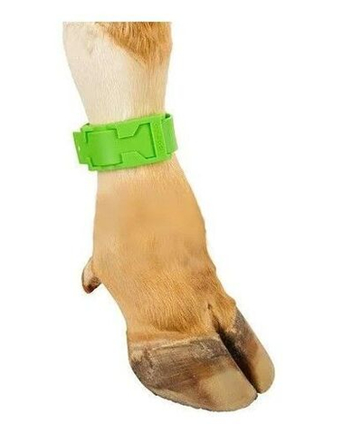 Ножные банды КРС пластиковые VetColor, цвет зеленый, 10 шт.
