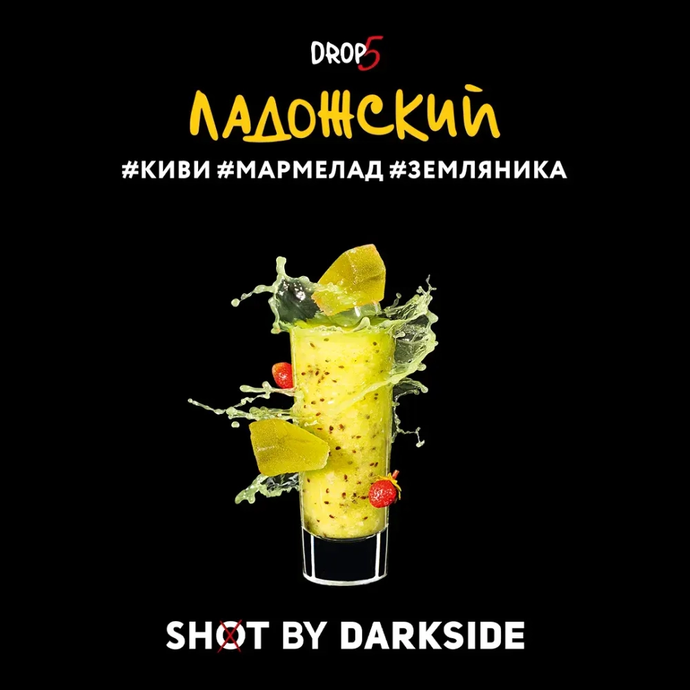 DARKSIDE SHOT - ЛАДОЖСКИЙ ВАЙБ 120g