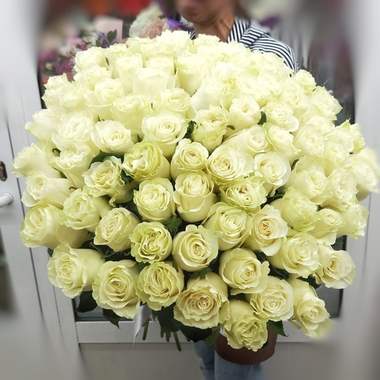 Букет из 85 белых роз сорта "Мондиаль" под ленту (Эквадор 70 см)