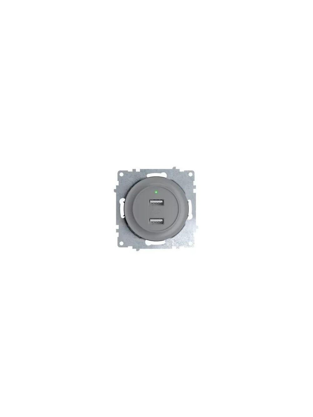 Розетка USB 2-м СП Florence 16А IP20 с подсветкой механизм сер. (1E10351302) OneKeyElectro 2260091