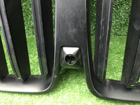 Решетка радиатора BMW X7 G07 (2022-н.в.)