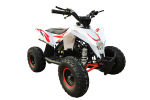 Квадроцикл MOTAX Gekkon 90cc