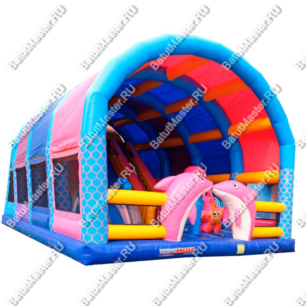 Надувной батут с крышей "Дельфинарий" 11*8*7 м