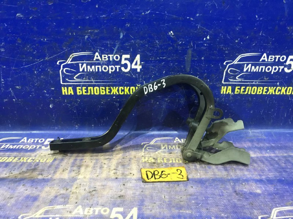 Петля багажника Honda INTEGRA 2000